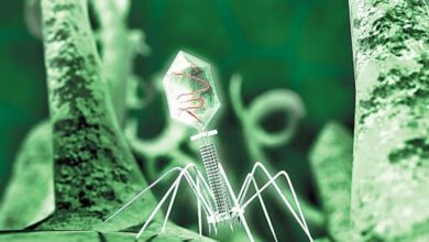 обробки інформації.