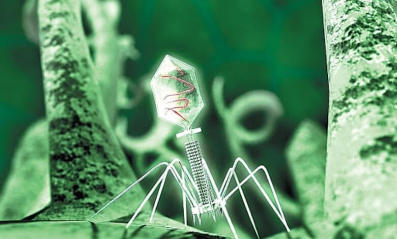 обробки інформації.