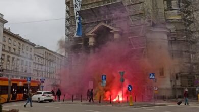 ліві анархісти