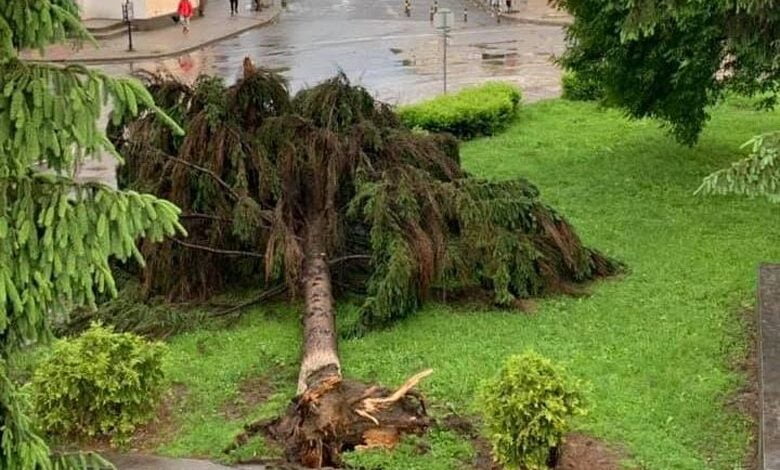 Про Божу любов