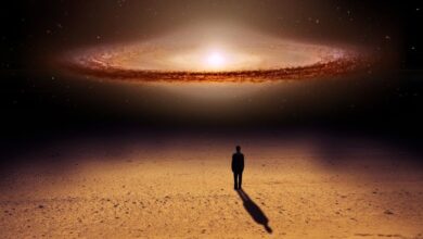 антропний принцип