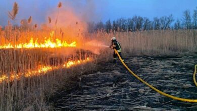 гасіння трави