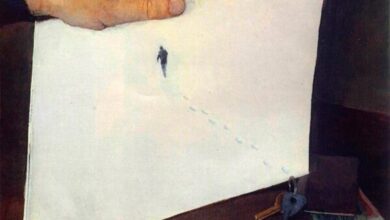 суспільство