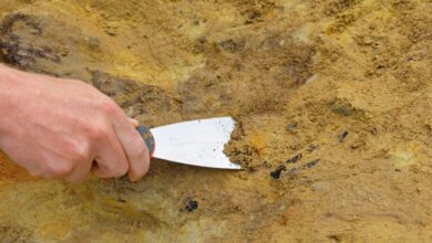 правління царя Ірода