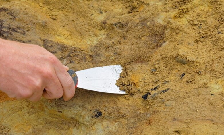 правління царя Ірода