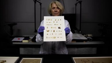 фрагменти сувоїв Мертвого моря