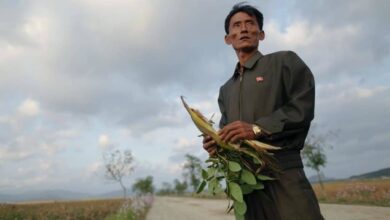 У Північній Кореї