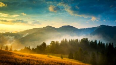 що таке природа