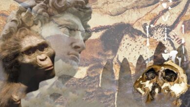 Еволюційна антропологія