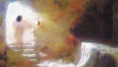 вічне життя