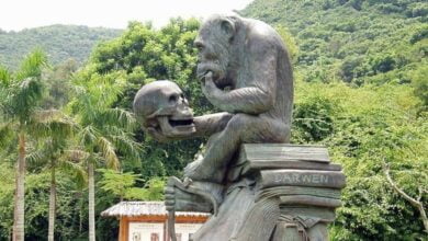 про добро і зло