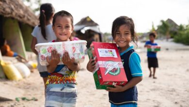 Сумка Самарянина