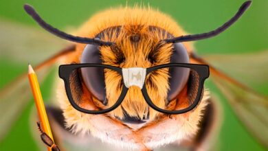 інформаційний обмін