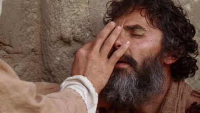 Истории людей