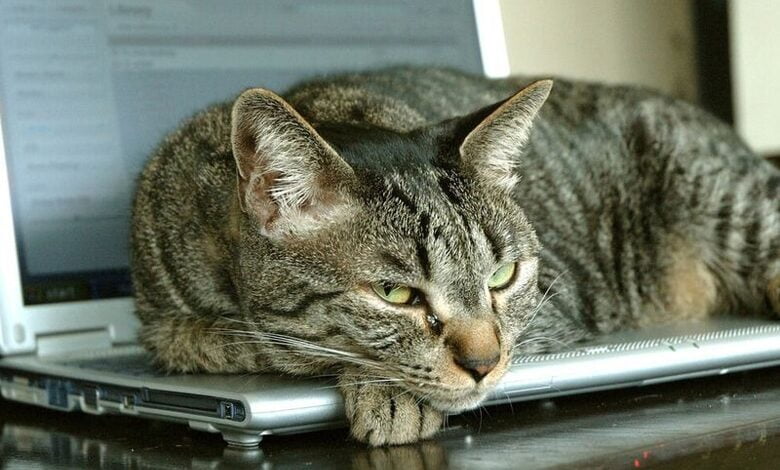 Сучасні комп'ютери