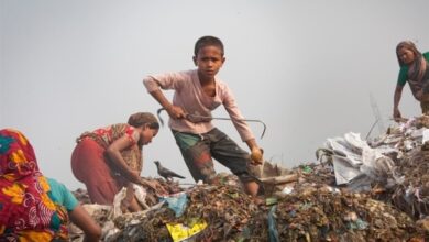 Дитяча праця