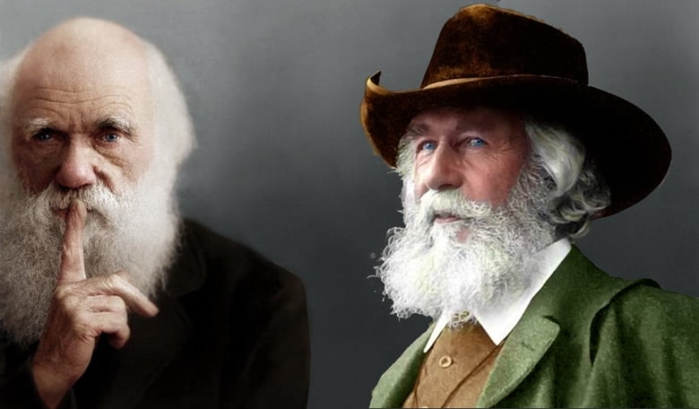 Полеміка щодо абортів