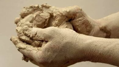 происхождение человека