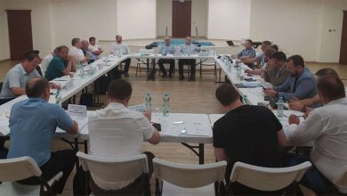 про ратифікацію Стамбульської конвенції