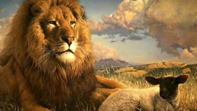 Блаженні лагідні