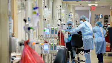 Енн Грем Лотц