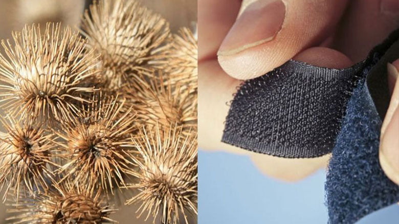 біоміметика