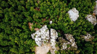 скелі Довбуша