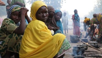 продовольча програма ООН