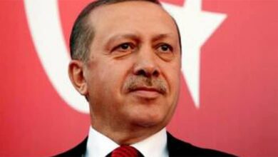 запобігання і протидію насильству