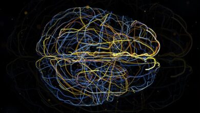 непрощення