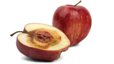 лицемірство