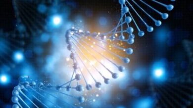 Генетика й еволюція