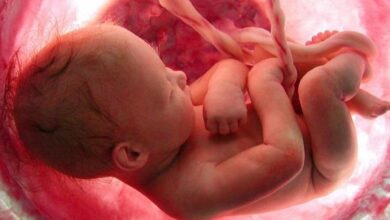 жизнь человека