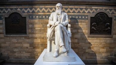 про покаяння Чарльза Дарвіна