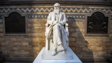 о покаянии Чарльза Дарвина