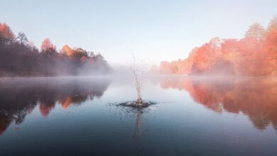 Про впевненість у спасінні