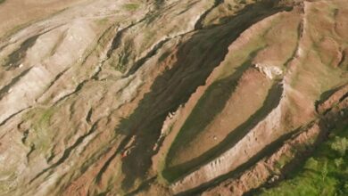 Ноєвий ковчег