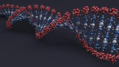 Молекула ДНК