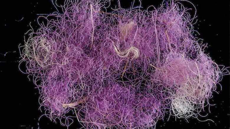 Фіолетові нитки