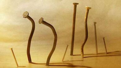 цвях в паркан