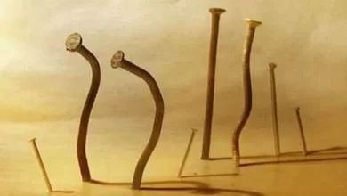 гвоздь в забор