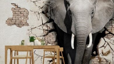 Свідчення існування Бога