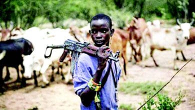 фулані в Нігерії