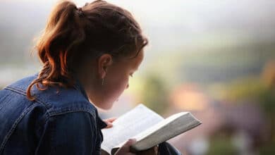 улюблені книжки