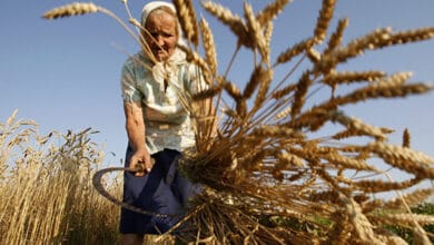 баба Килина
