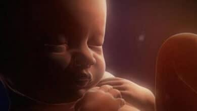 процес пологів