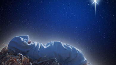 про Народженого в яслах