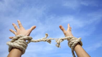 Свобода – найбільша з прав