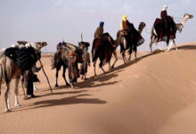 Почтительное неповиновение