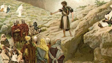 Начальники